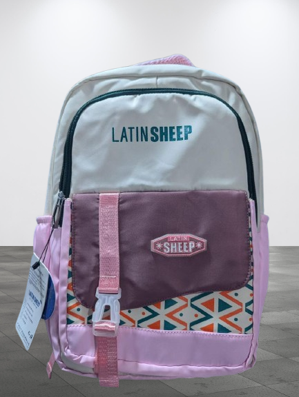 Multifunctional Bag pack, School or College Bag