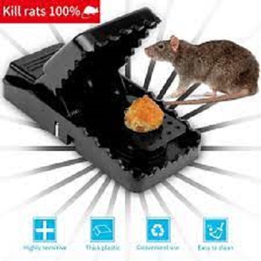 Mouse Killer Trap-Size:5×3×3 inches